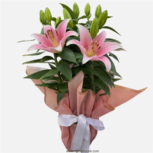 Pembe Lilyum Saksı