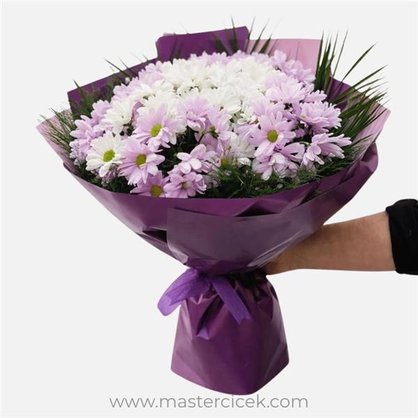 Orta Boy Papatya Buketi