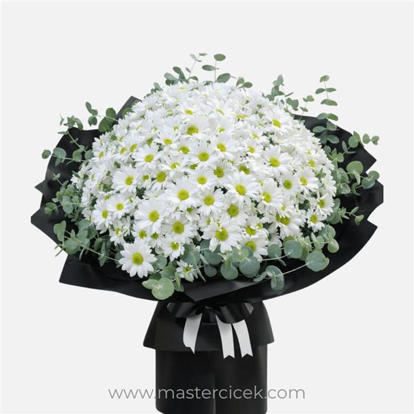 En Büyük Boy Beyaz Papatya Buketi (XL)