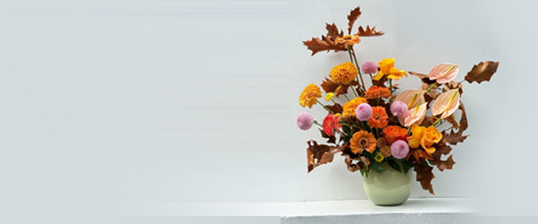 Sevginin En Güzel Hali