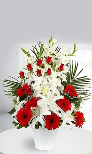 Çiçek Tasarımları